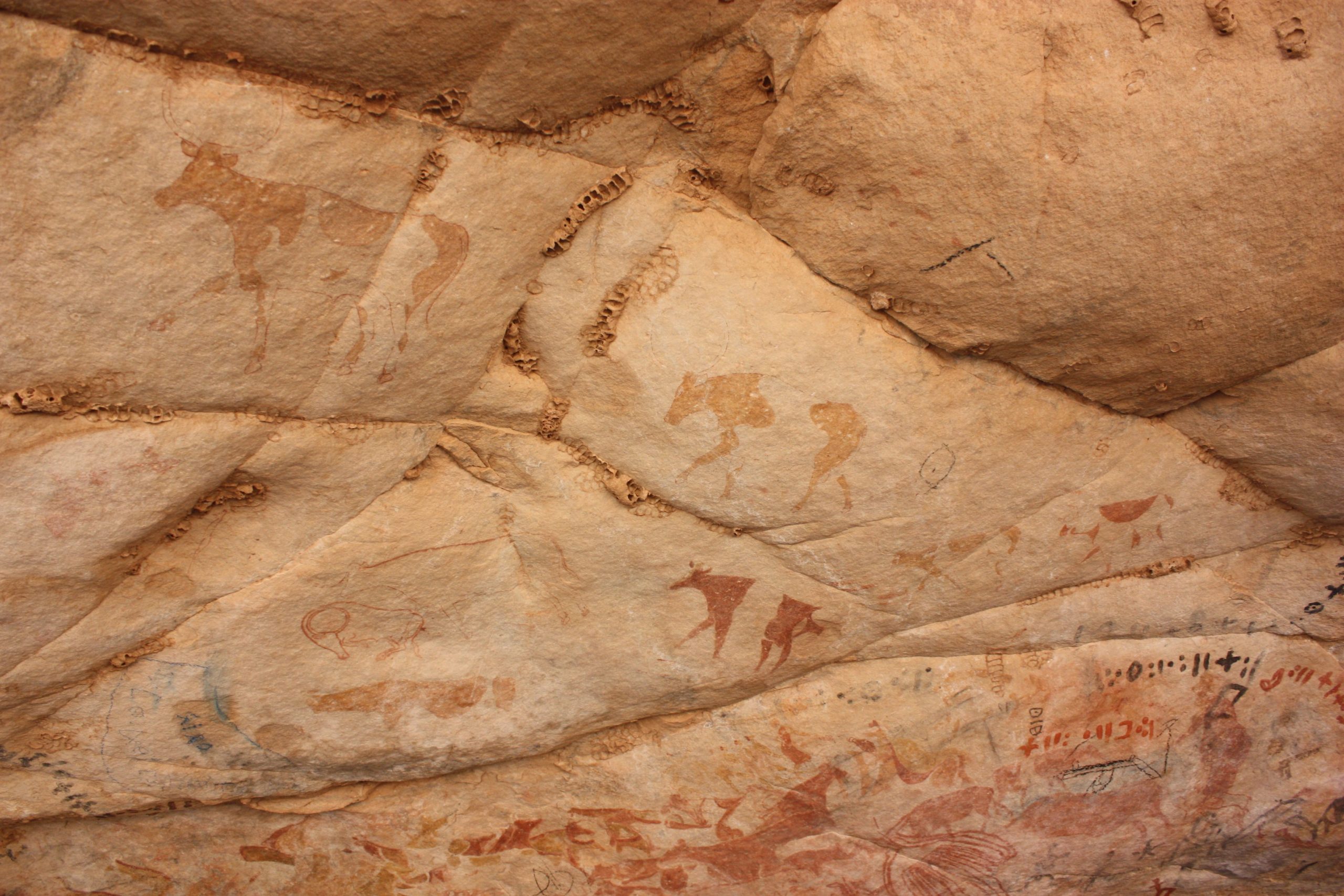 Art rupestre préhistorique sur parois de grotte algérienne
