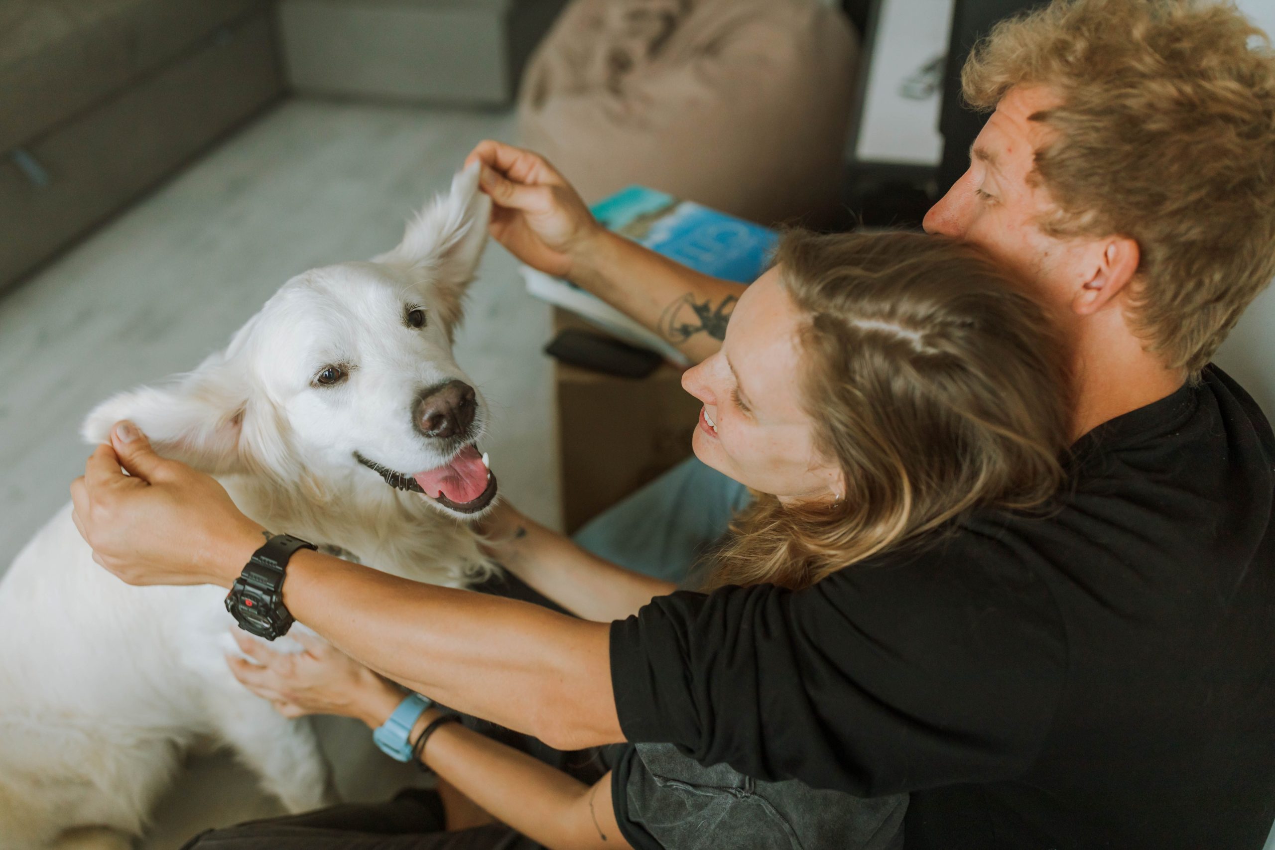 Couple heureux avec leur Golden Retriever affectueux