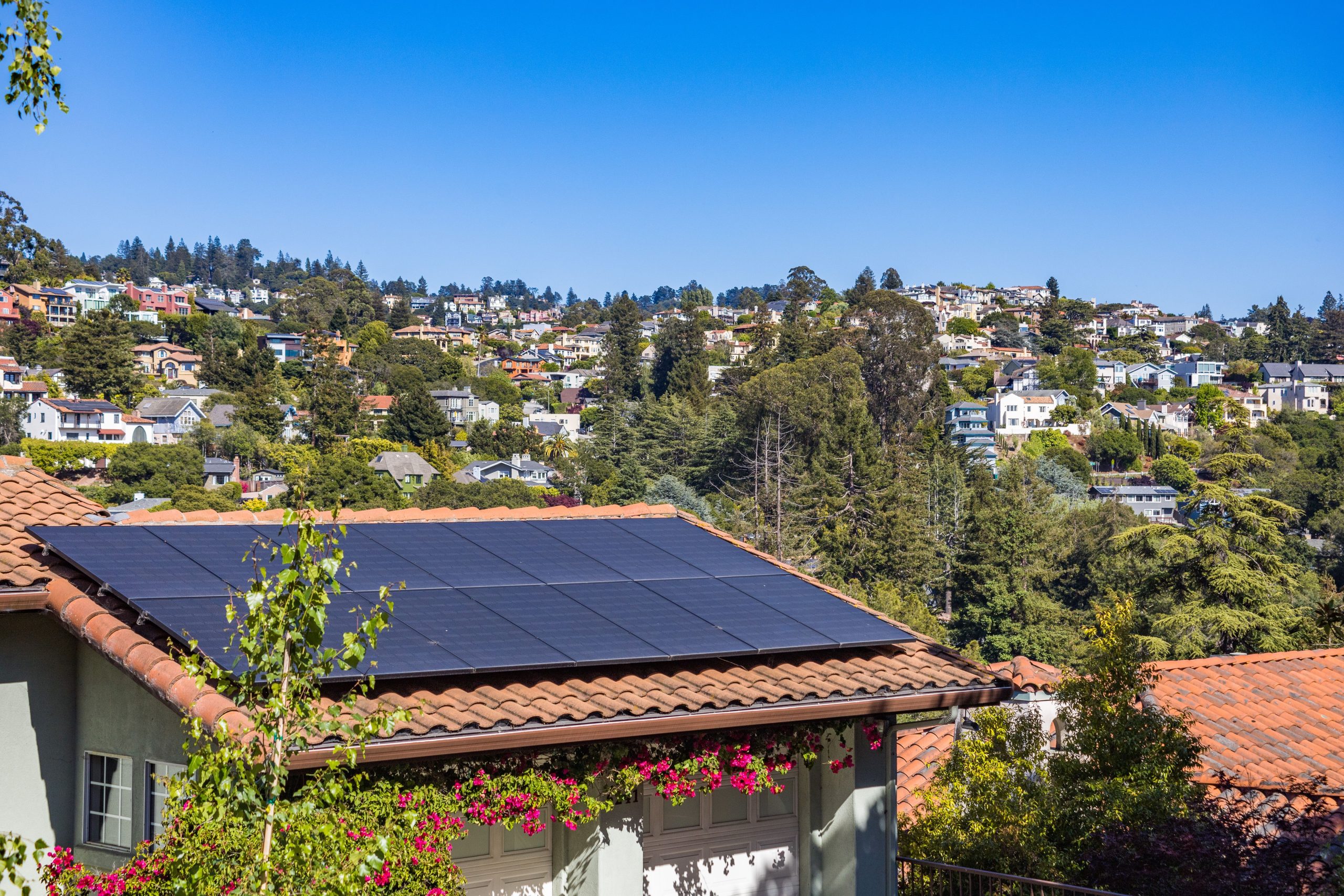 Maison panneau solaire 200w verdure